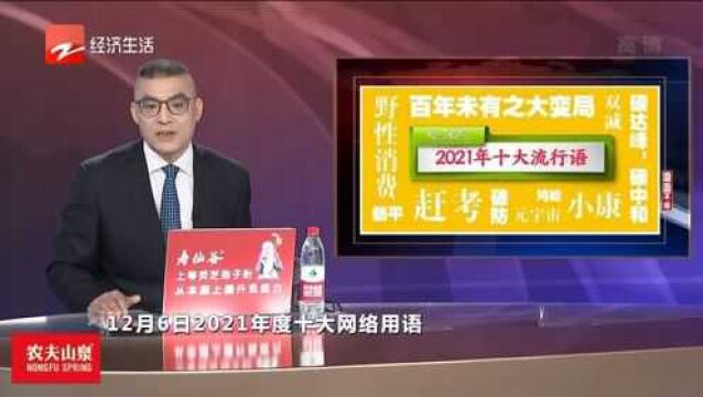 滔滔不绝:《咬文嚼字》发布2021十大流行语