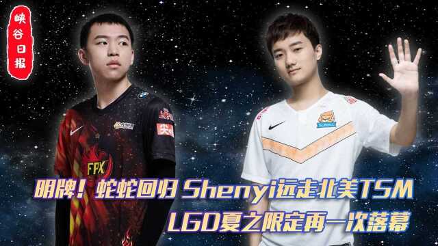 蛇蛇回归Shenyi远走北美TSM!LGD夏之限定再一次落幕!