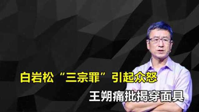 白岩松被曝出“三宗罪”因一句话引发众怒,现身回应让人羞愧!