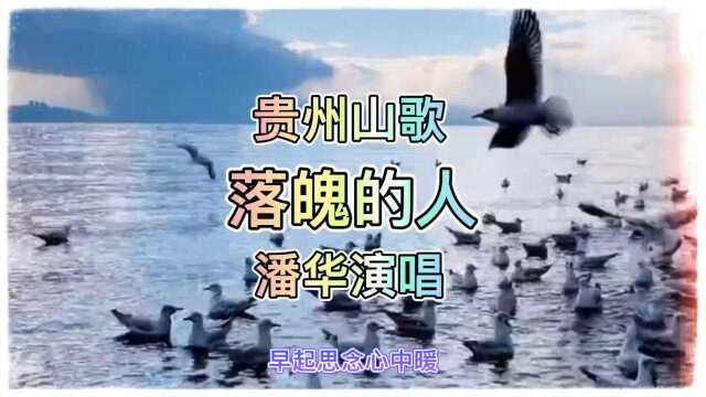 贵州山歌,落魄的人,潘华演唱