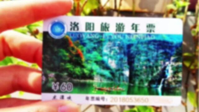 洛阳旅游年票自2022年1月10日起,涨价到90元一张!