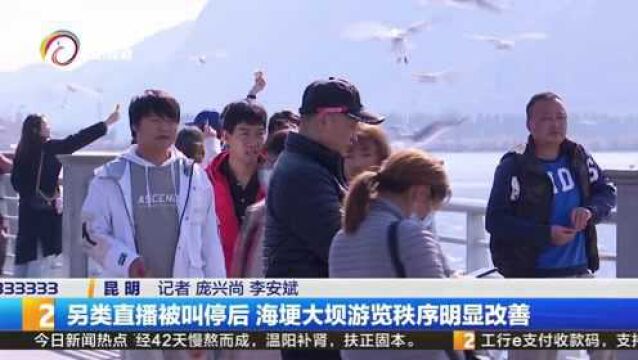 另类直播被叫停后 海埂大坝游览秩序明显改善