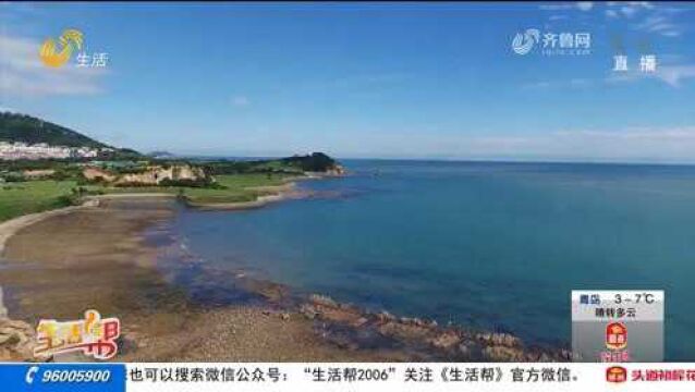 标准引领!山东制定出台64项地方标准,锚定海洋强省建设方向