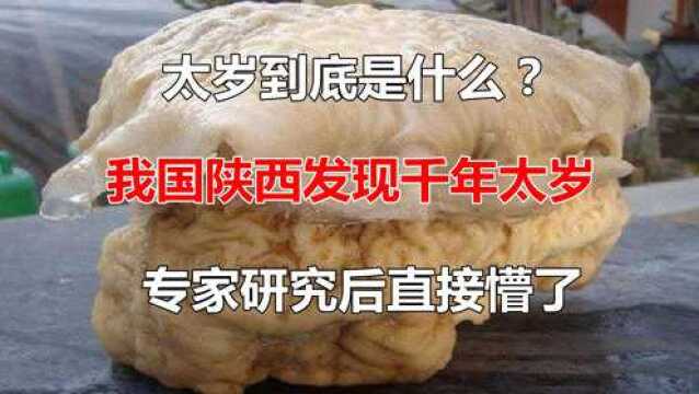 太岁到底是什么东西?中国陕西发现千年太岁,专家研究后懵了!