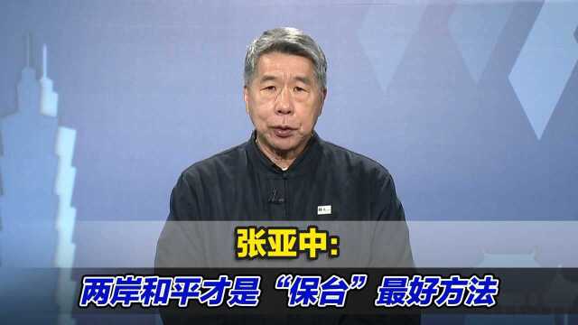 张亚中:两岸和平才是“保台”最好方法