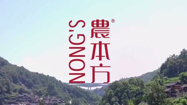 农本方 Nong's