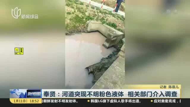 奉贤:河道突现不明粉色液体 相关部门介入调查