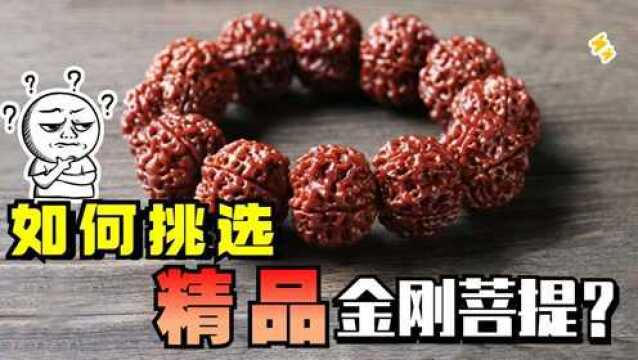 如何挑选出一串精品金刚菩提?记住这5点,其他方法都out了!