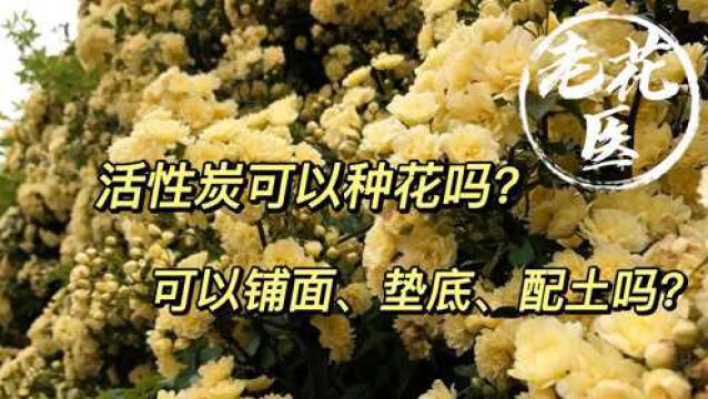 什么是活性炭?活性炭可以种花吗?可以配土、铺面、垫底吗?