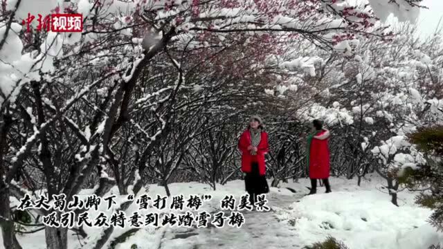 瑞雪兆丰年!120秒带你看南方雪中美景