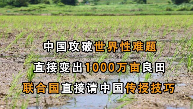 中国直接攻破世界千年难题,变出1000万亩良田,联合国直接坐不住