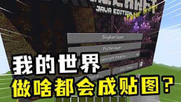 我的世界:做了但又没做?玩家无论做什么,都会变成一张贴图