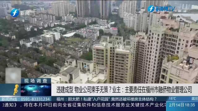 胆太肥!顶楼住户私建“入户花园”,物业竟束手无策?