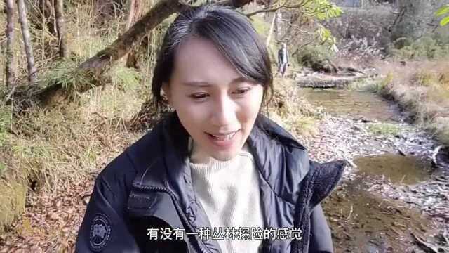 比冰川还古老的古冰碛湖:甘孜州草海子