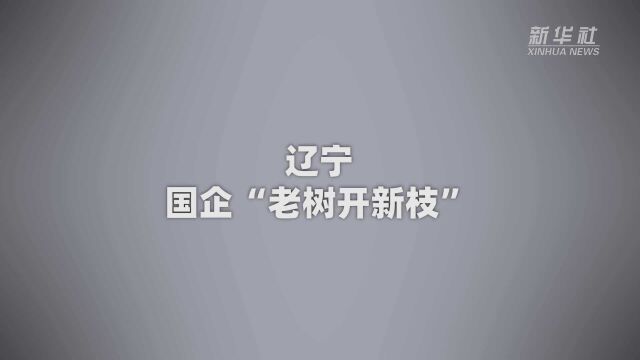 首席记者说|辽宁:国企“老树开新枝”