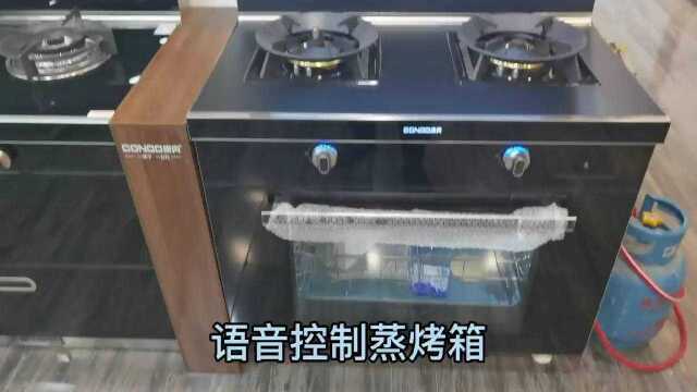 集成灶十大品牌康内V15智能语音控制款 满足各种烹饪需求