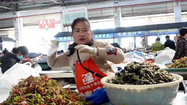 搜城记丨普洱“春季限量版” 野菜上桌,10多种野菜自报家门!价格最高的是→