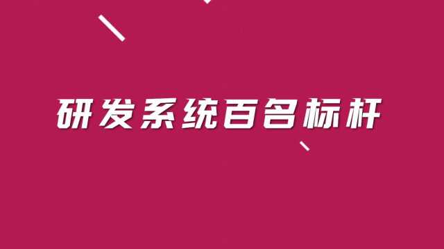 百名标杆——杨和平