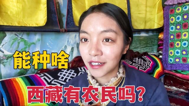 西藏除了青稞有啥粮食?遍地牦牛还有农民种地,感谢国家援藏计划