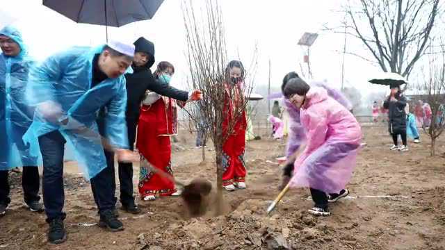 560棵石榴树扎根郊野公园,邯郸复兴区再添靓丽风景线