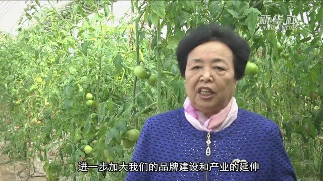 全国人大代表王银香:让两会精神在新农村开花结果