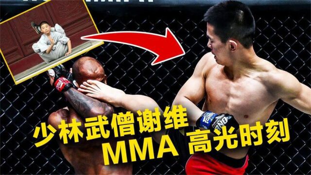 中国少林武僧MMA高光时刻,谢维进军综合格斗,简直如同一直猛兽