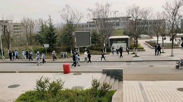 大学表白墙上都有什么?我们应该让表白墙生态恣意生长吗?