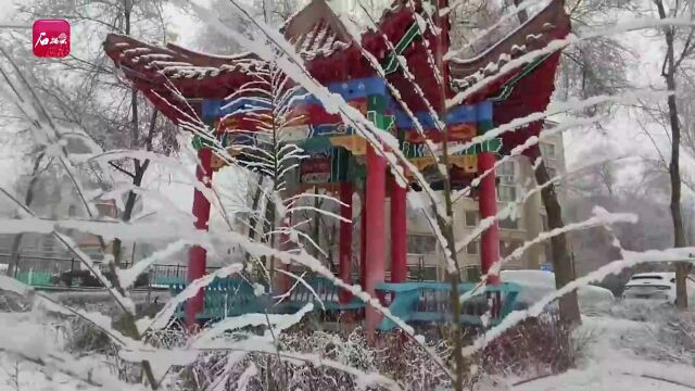 乌鲁木齐市:城区雨雪纷纷 南山暴雪预警