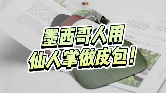 墨西哥人用仙人掌做皮包拿下设计大奖!或许又一项环保设计可以拯救动物们了!