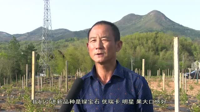 矾山镇:“硒产业”助力乡村振兴