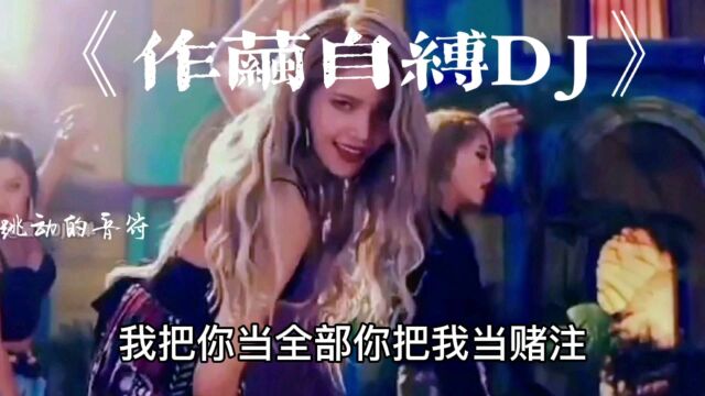 中文DJ歌曲分享,每日更新