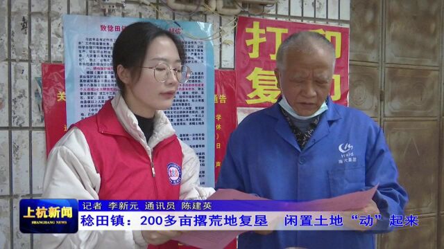 稔田镇:200多亩撂荒地复垦 闲置土地“动”起来