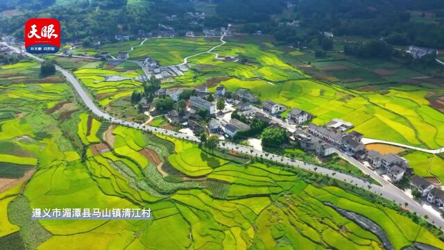 奋进新征程 建功新时代|贵州湄潭:“三张图纸”绘就美丽乡村新画卷