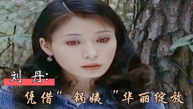 刘丹:用心打磨演技,凭借“锅姨”华丽绽放