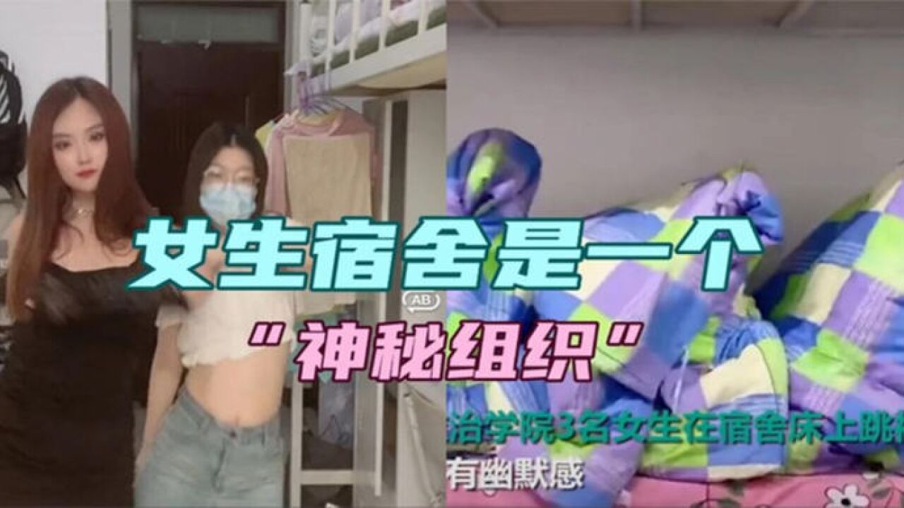盘点全网女生宿舍是一个"神秘组织",见证了沙雕沙一窝的成长