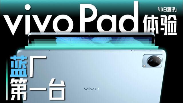 「小白」 vivo Pad体验:新的软件 复古的笔