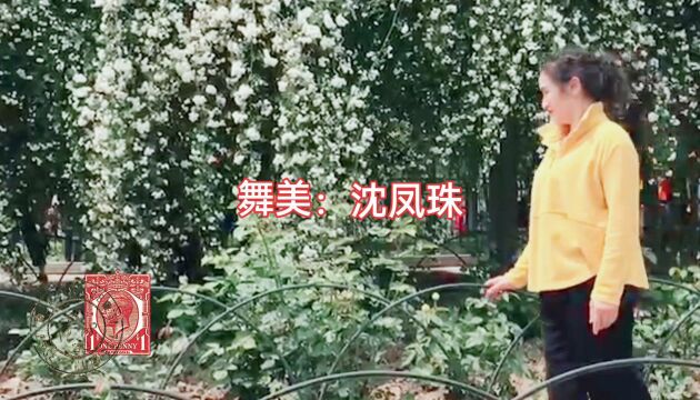 南京:木香花海中沈凤珠的舞蹈《草原迎宾曲》,人美舞美!