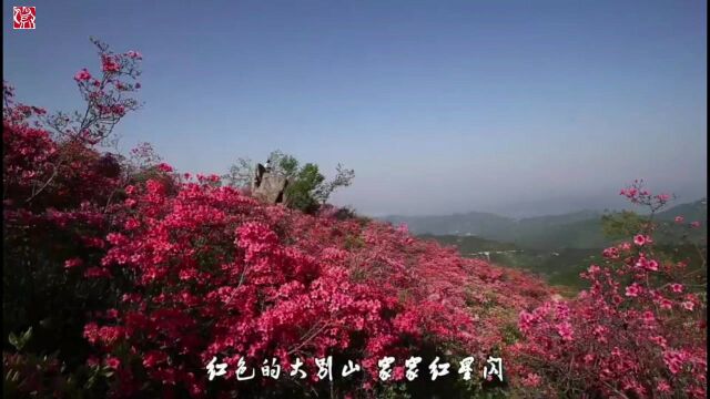 【徽骆驼】《我热恋的大别山》洪军 演唱