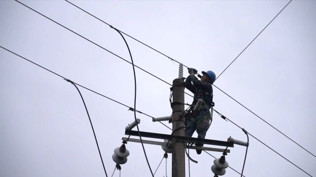 广西:暴雨致多条线路跳闸 供电部门紧急抢修复电