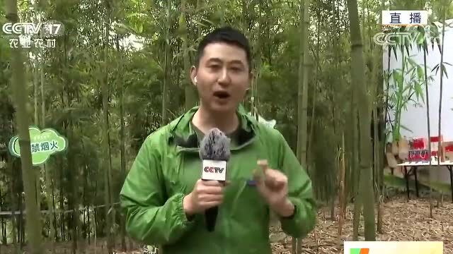 火了火了!乐山刷屏央视十次