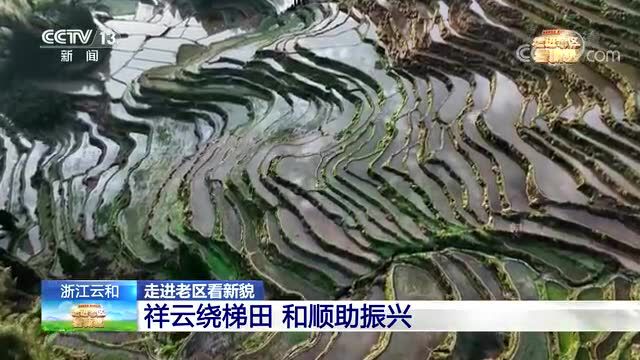 走进老区看新貌 | 庆元百山祖国家级自然保护区 生物多样性宝库