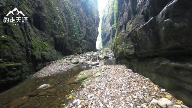 乐山沙湾美景多,今天推荐范店一线天,有峡谷、溪流、溶洞