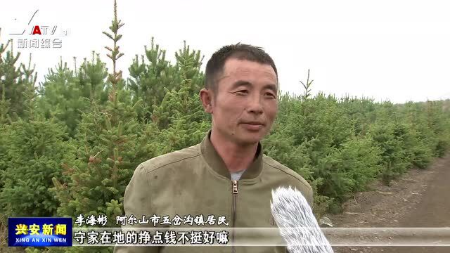 【奋斗者正青春】李海健:让优质种苗成为“绿色银行”