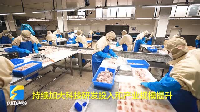 荣成:海洋食品加工企业生产忙 赶制出口订单