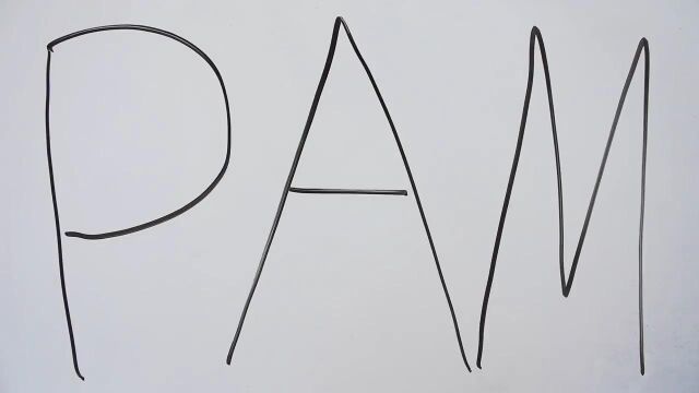 What is the PAM  A CRISPR Whiteboard Lesson