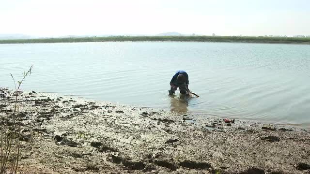 保护生物多样性 | 中国鹤湖 ——池州升金湖