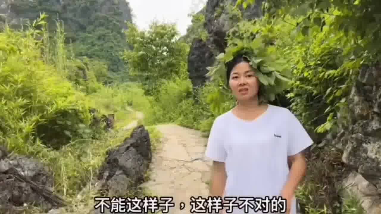 今天阿金陪小翠游山玩水,小翠心里美滋滋的