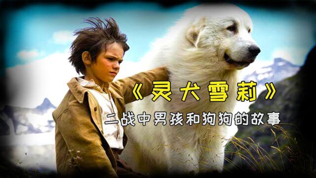 法国票房冠军,高分治愈系电影《灵犬雪莉》