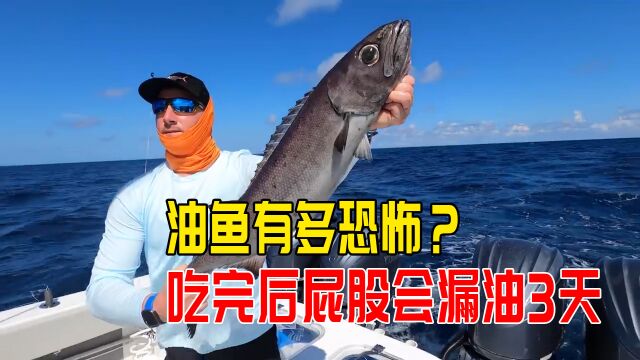 油鱼有多恐怖?吃完后屁股会漏油3天,被多国禁止后仍有人食用