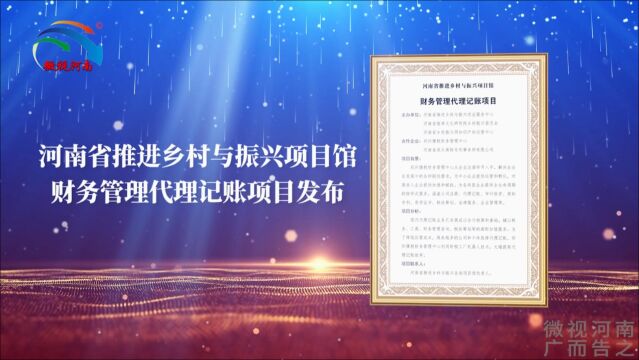 河南省推进乡村与振兴项目馆财务管理代理记账项目发布